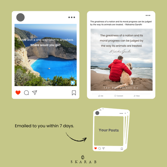 1 month of posts and community mgmt.